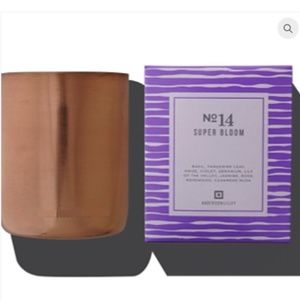 Anderson Lilley no 14 candle